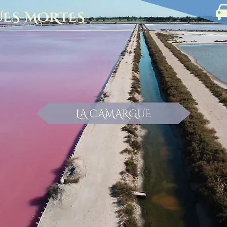 Appartamento 095 - Le Petit Camarguais - - Calme - Wifi *